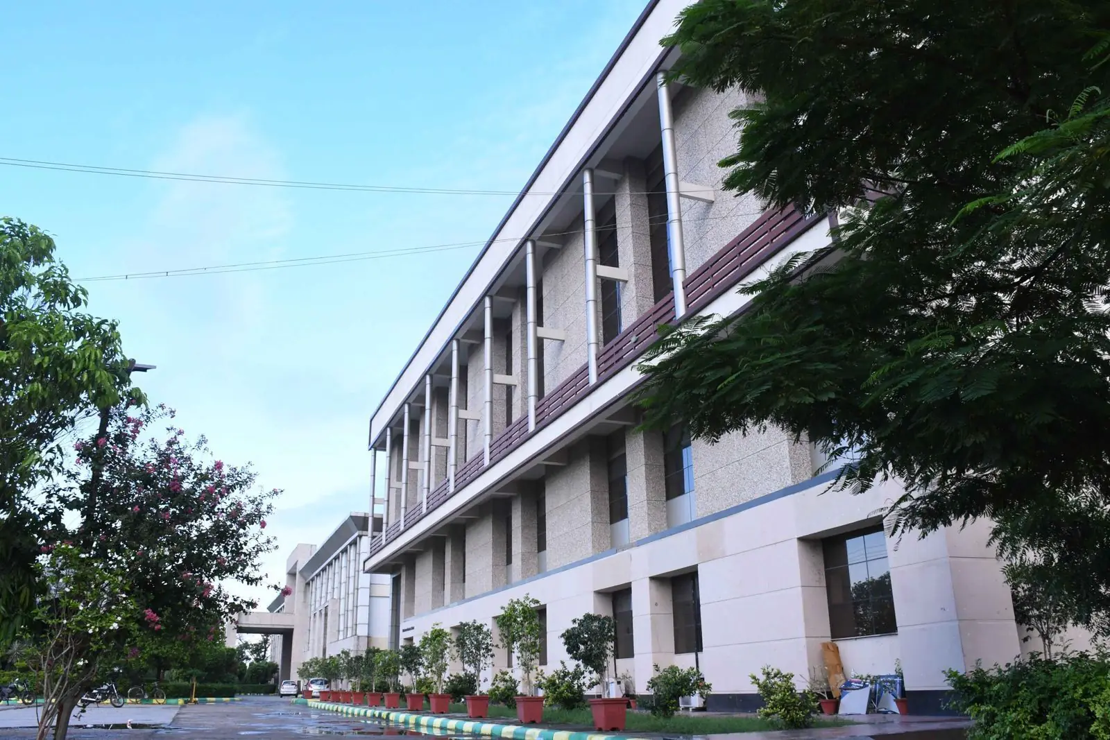 Allenhouse campus