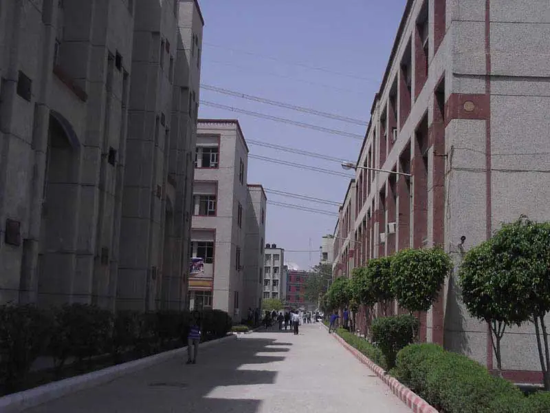 Tree-lined walkway between academic blocks