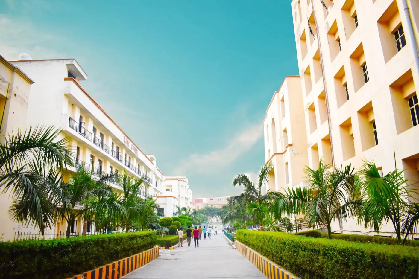 Palm-lined avenue between hostel blocks