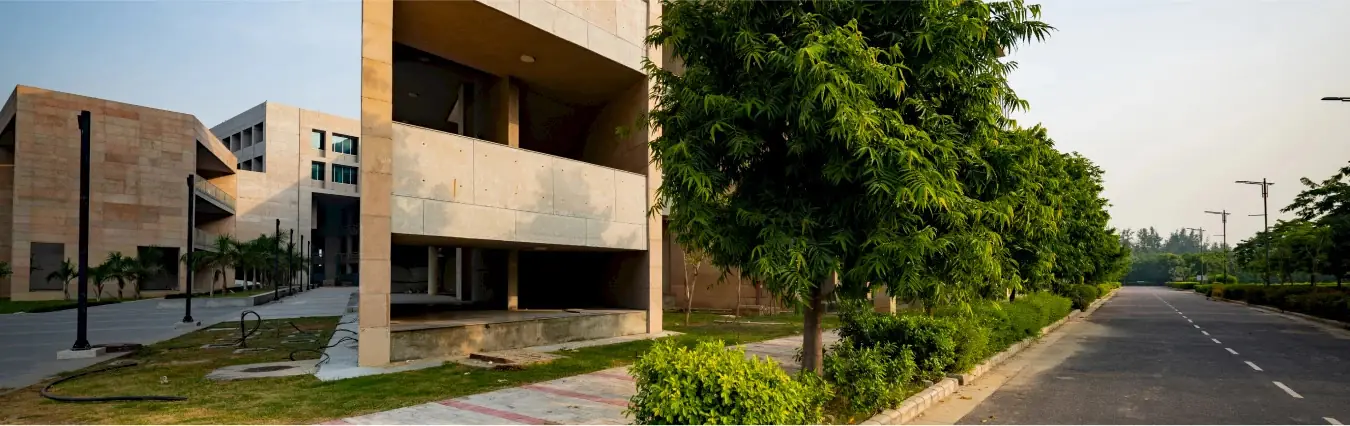 Academic building beside a tree-lined campus road