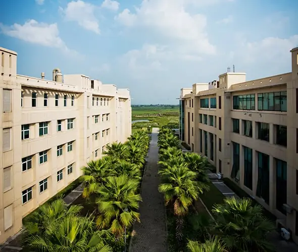 Residential blocks with palm-lined walkway
